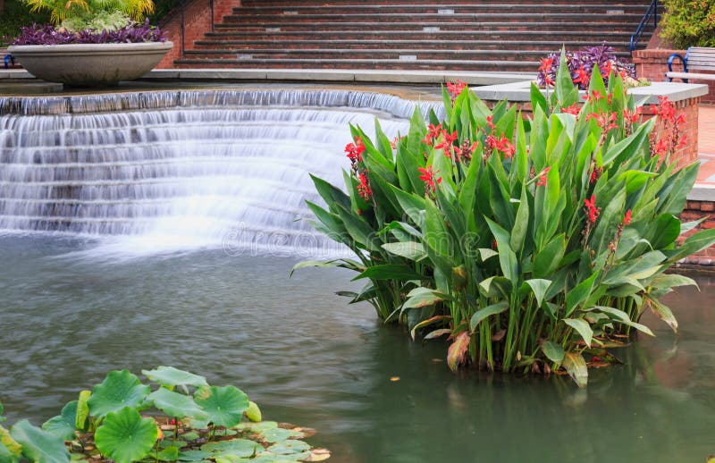 Outdoor Beautification